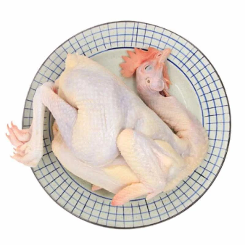 清远麻鸡（默认切块）约600g/份