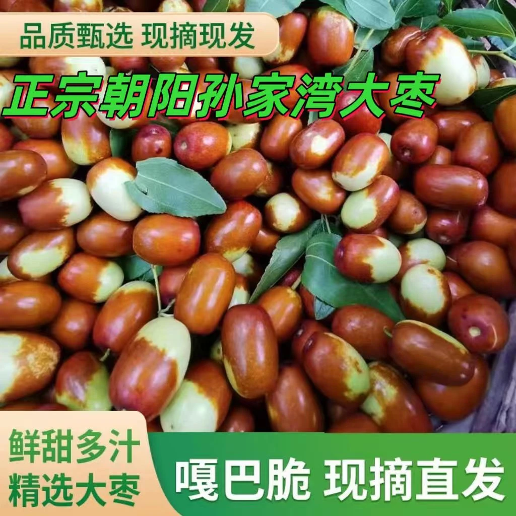 朝阳大枣正宗孙家湾平顶枣皮薄肉厚嘎嘎甜