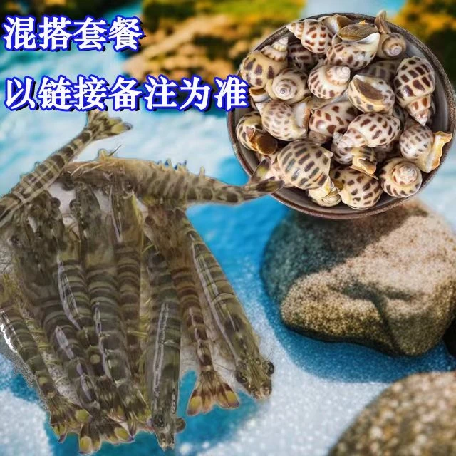 九节虾混搭套餐 多种海鲜 以商品链接备注为准【包鲜不包活】