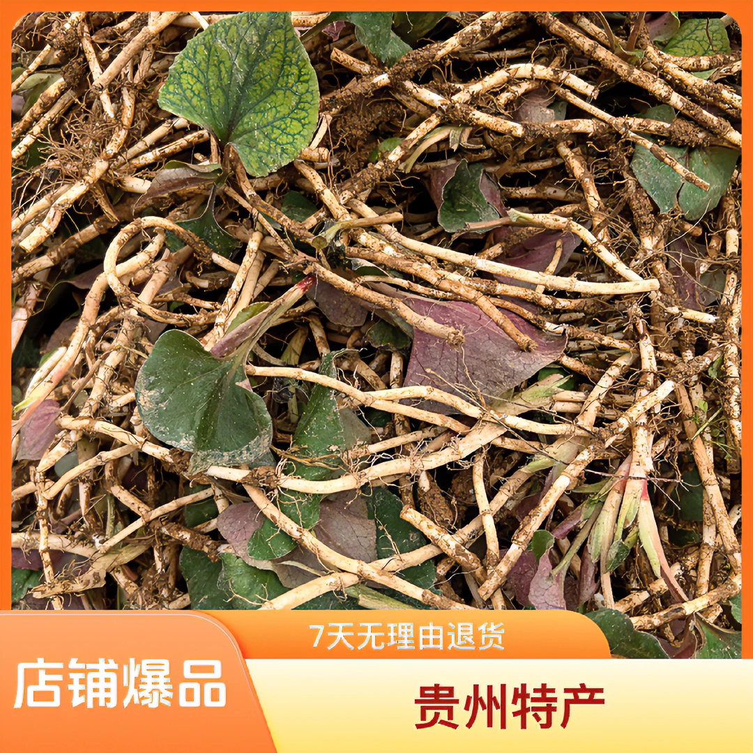 贵州特产本地折耳根鱼腥草凉拌煲汤新鲜现挖带泥热卖1-5斤包邮