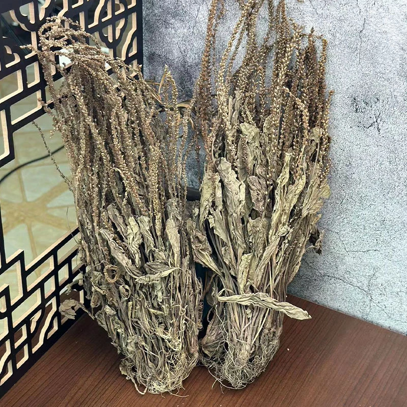 车前草500克g车前草干货袋泡茶新鲜野生泡水喝另售车前子