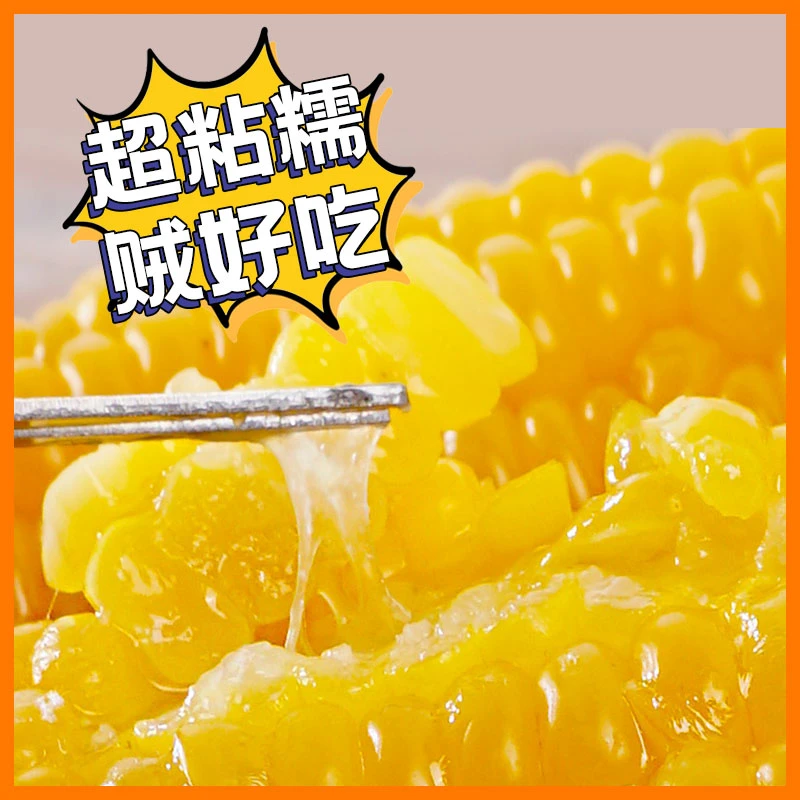 问君山西新鲜黄玉米220gx8支黄金糯玉米软糯香甜玉米真空包装健康