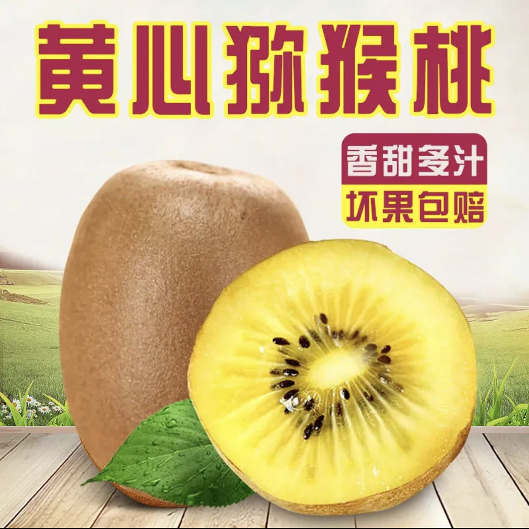 黄心猕猴桃漯河当季现摘现发新鲜水果香甜多汁营养奇异新鲜猕猴桃