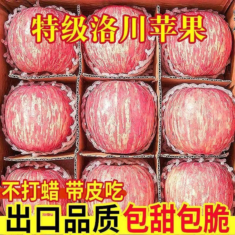 现摘头茬正宗陕西洛川红富士苹果水果当季新鲜冰糖心营养脆甜削皮