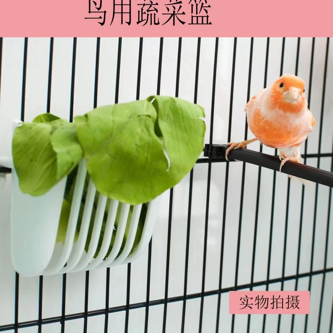外挂蔬菜筐 白色 10个包邮 质量好