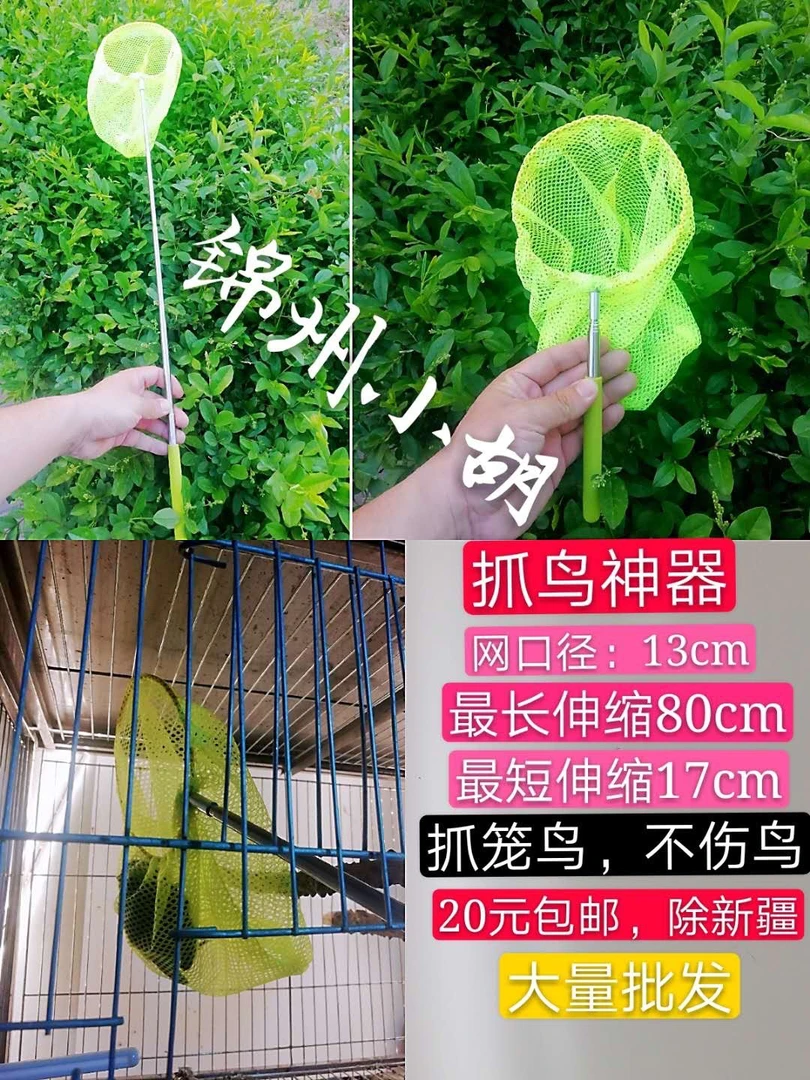 鸟儿兜兜 1个包邮
