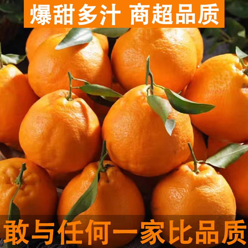 四川春见耙耙柑当季新鲜水果孕妇小孩不知火丑柑橘桔子整箱酸甜