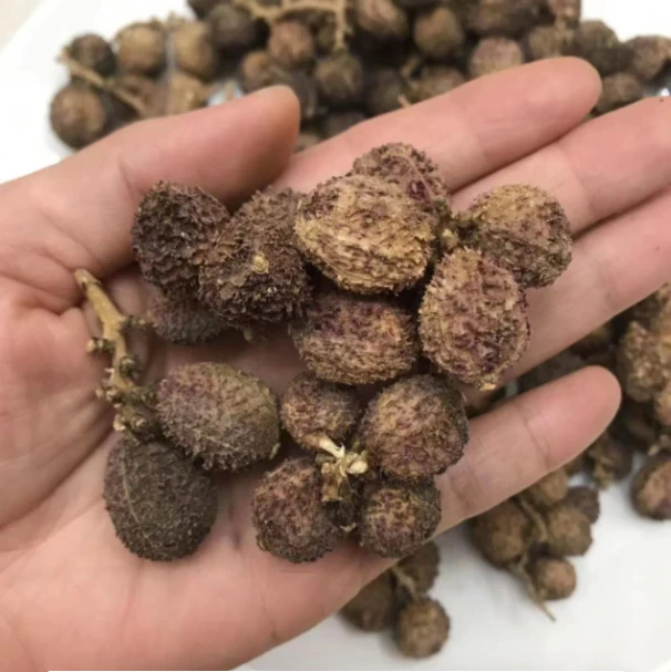 阳春精选靓春砂仁