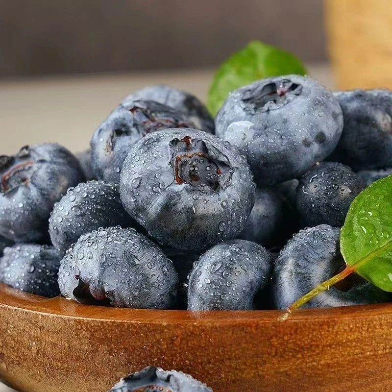 【巨无霸蓝莓】新鲜爆汁饱满当季时令香甜细腻清甜多汁浓郁鲜甜包邮