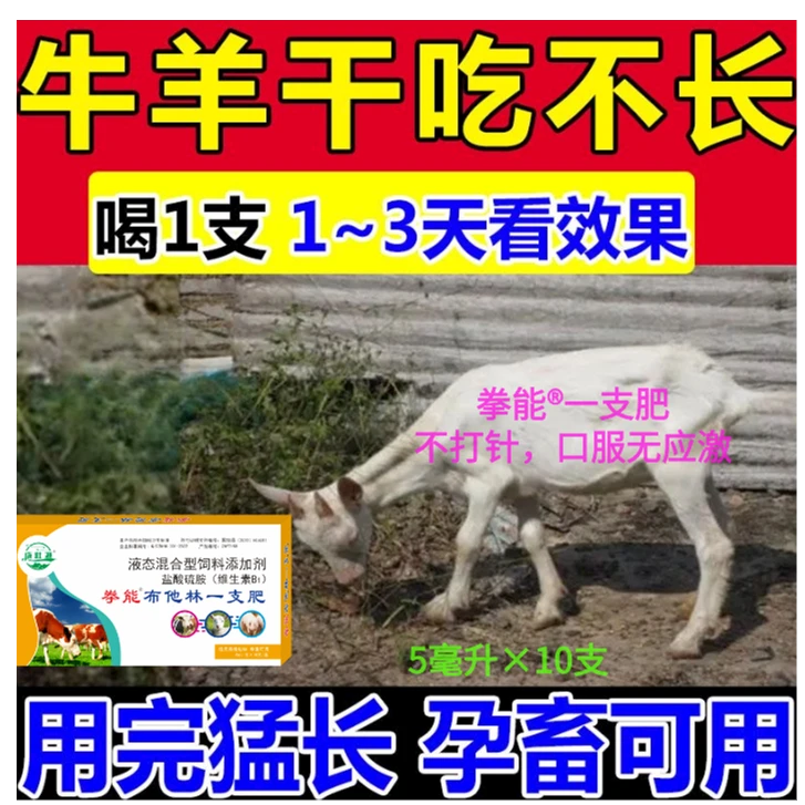 牛羊一支肥瘦牛僵牛快速增重速肥猛长素牛用强效增肥肽僵羊僵猪