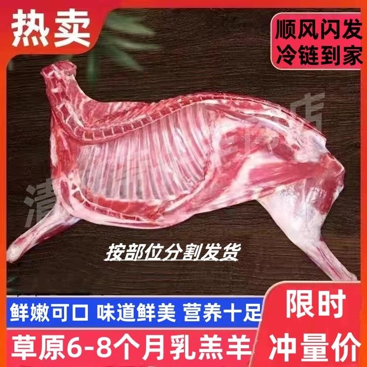 【碰钟专属】拍五斤宋五斤 到手十斤顺丰包邮-----------------碰钟