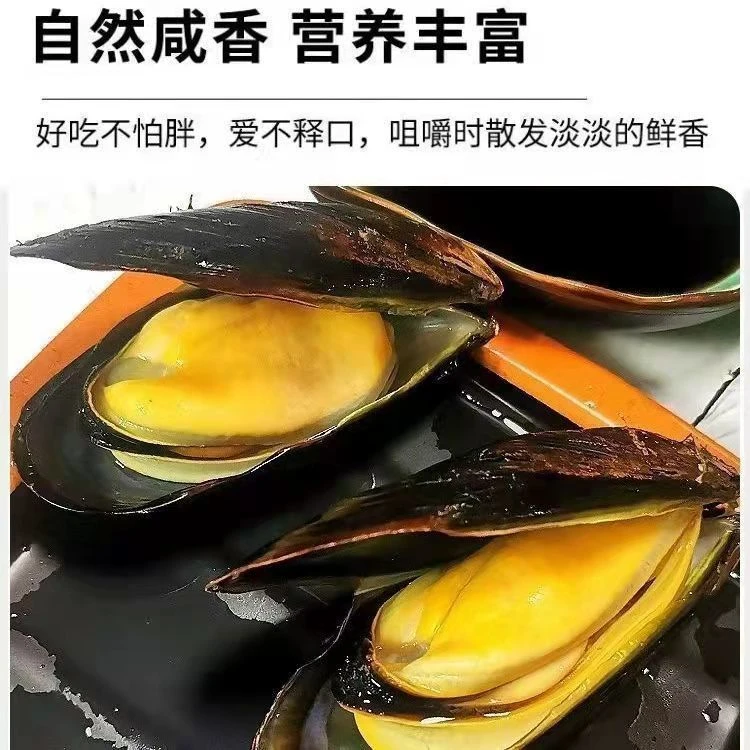 鲜活大青口贝码头直发