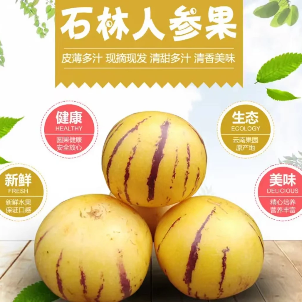 云南石林黄皮人参果70-100g 3斤—5斤果略带成熟裂纹不影响口感