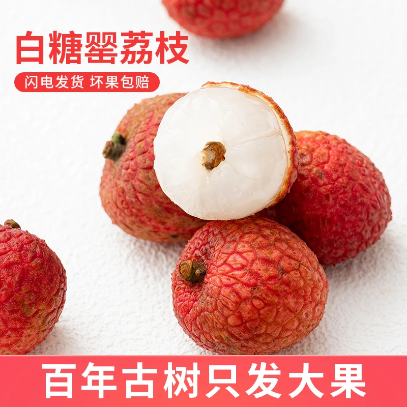 【顺丰冷链】白糖罂荔枝茂名高州纯甜肉厚多汁老树头茬果现摘现发LB