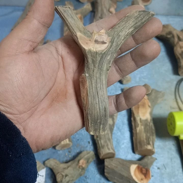 【闪购商品】F崖柏木