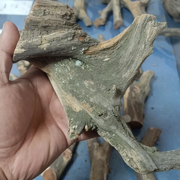 【闪购商品】其***懂