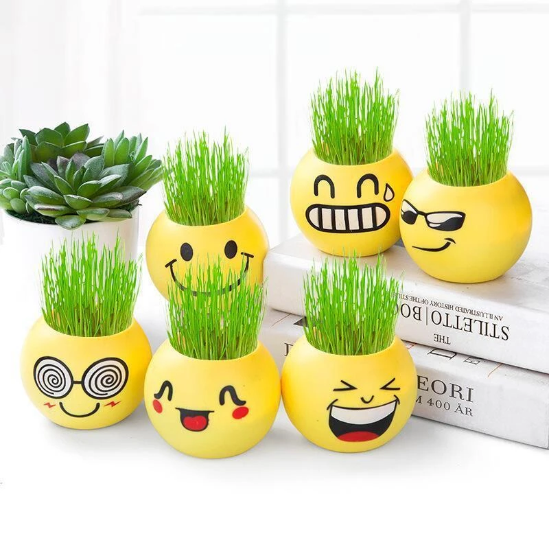 创意草头娃娃迷你植物环保盆栽栽培DIY种植盆栽表情可爱绿色炫酷9