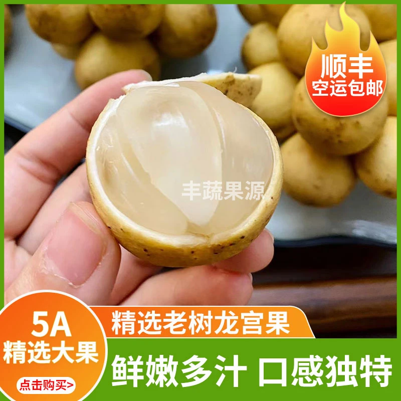 当季泰国晶莹进口龙宫果新鲜热带水果泰国枇杷椰色果龙贡果发顺丰