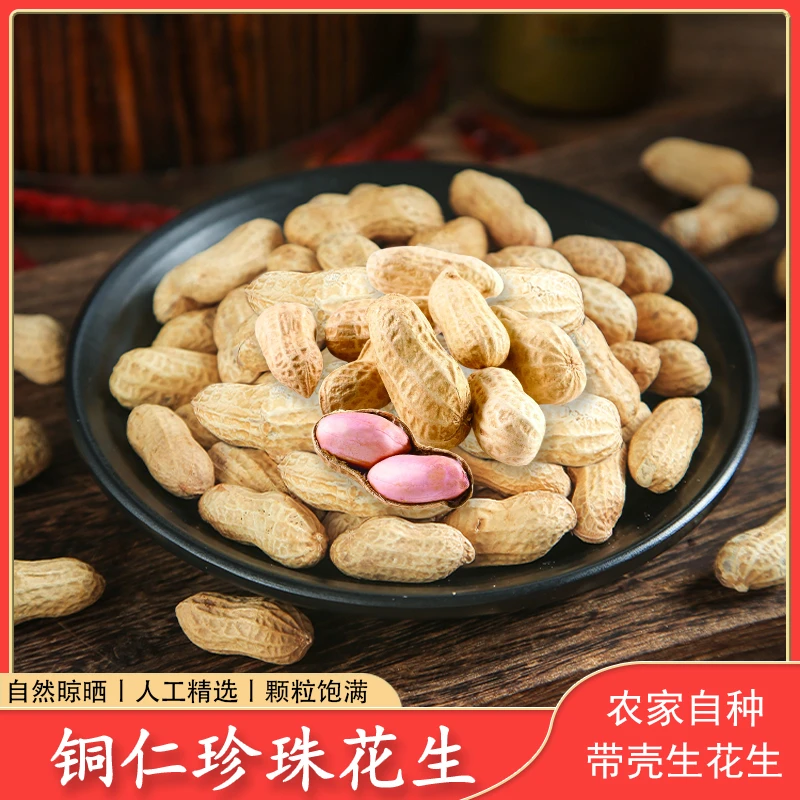 正宗铜仁珍珠花生 带壳花生3斤 贵州特产精选充饥解馋小吃生花生