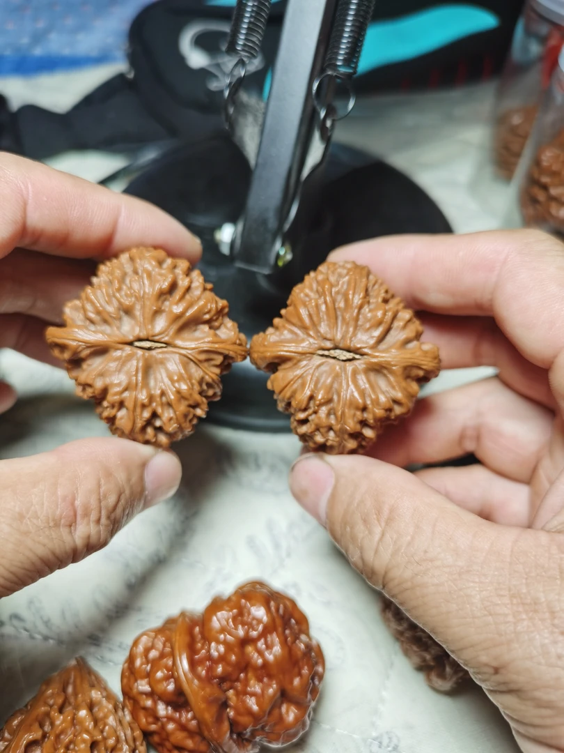 文玩桃核核桃，图片仅供参考发货以实物桃核文玩为准