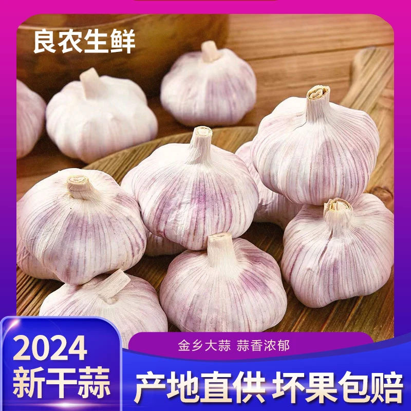 新干蒜2024年新大蒜头山东金乡农家自种可腌可种紫皮干大蒜头批发