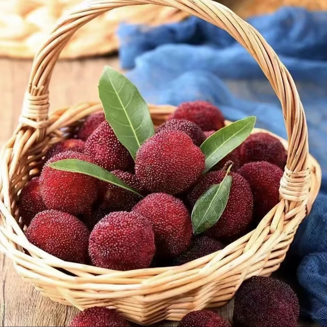 (顺丰)浮宫杨梅鲜果现摘现发当季新鲜自然高品质严选酸甜