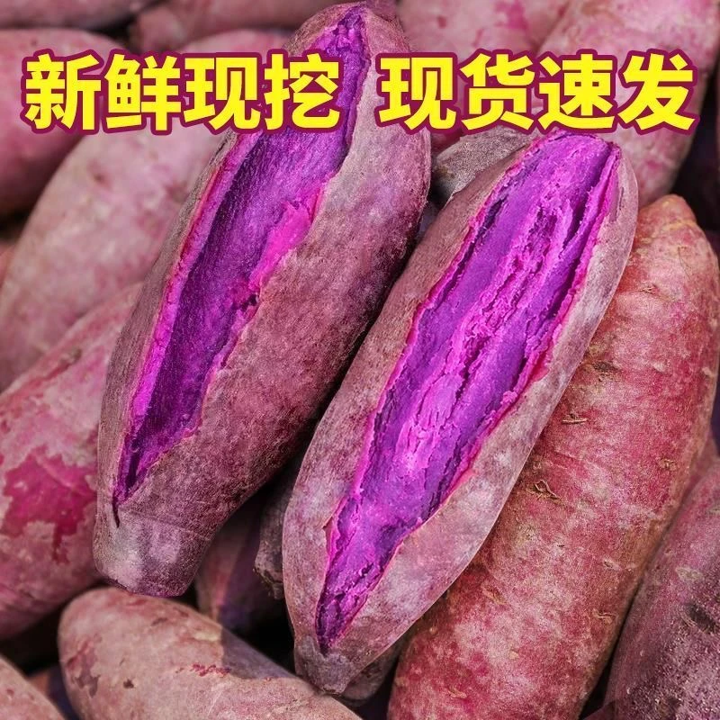 湖北新鲜现挖现发紫薯粗粮辅食蒸煮软糯香甜新货紫薯