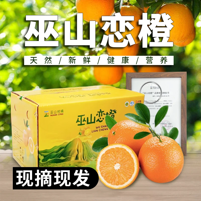 巫山纽荷尔橙不抛光不打蜡现摘现发10斤中大果66