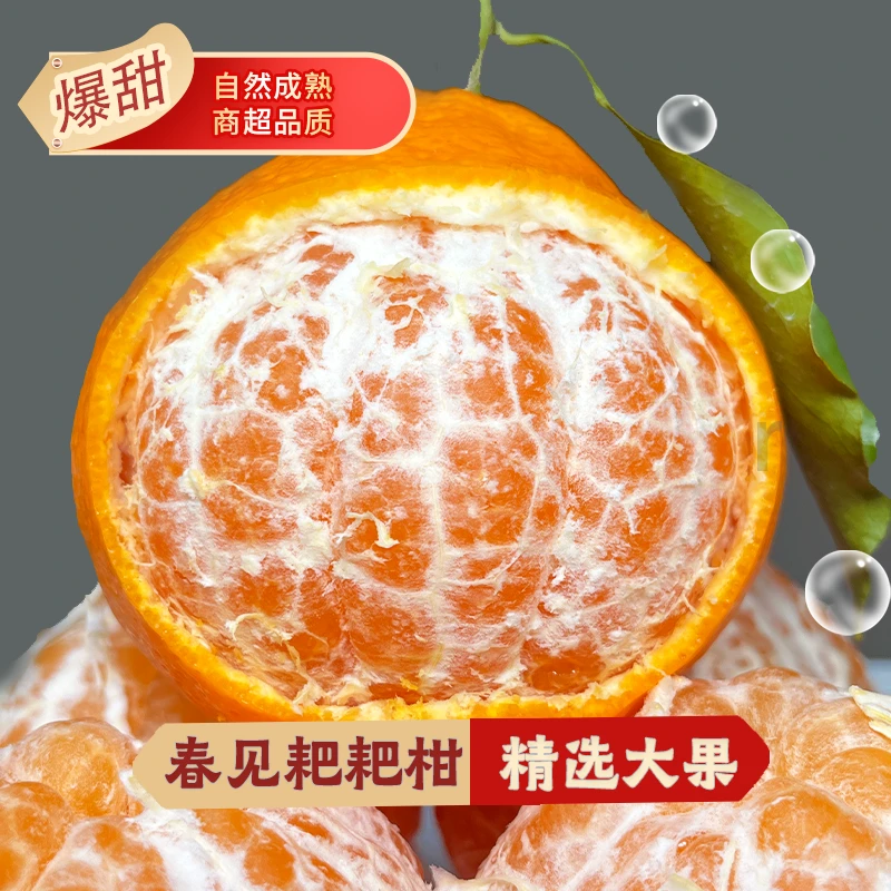 【柑橘家族】四川春见粑粑柑5斤8斤孕妇新鲜水果脆甜爽口多汁