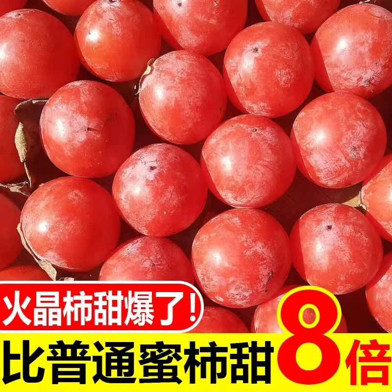 采摘火晶柿子新鲜当季水果应季脆水晶软甜小柿子30枚整箱包邮