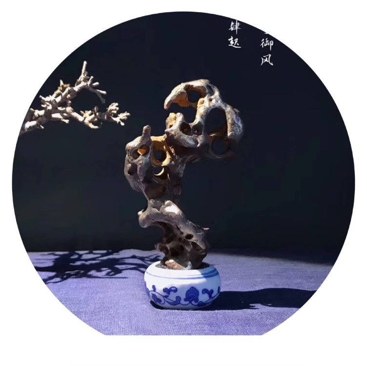 太湖石，直播专用链接
