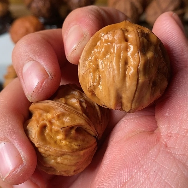 文玩核桃把件云南铁核桃60