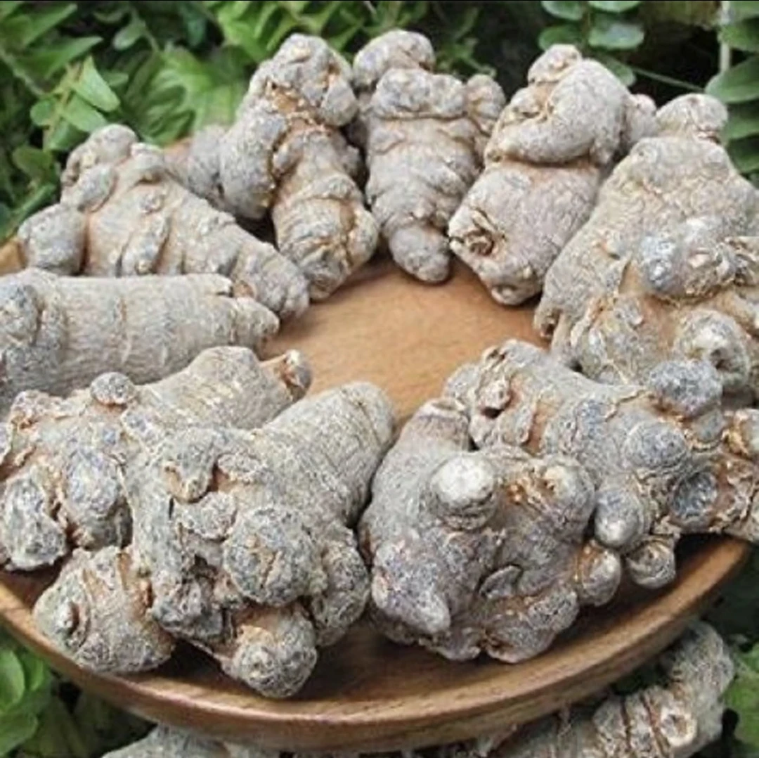 长白山 叁 七 手工挑选 大小均匀 无熏染 滋补佳品