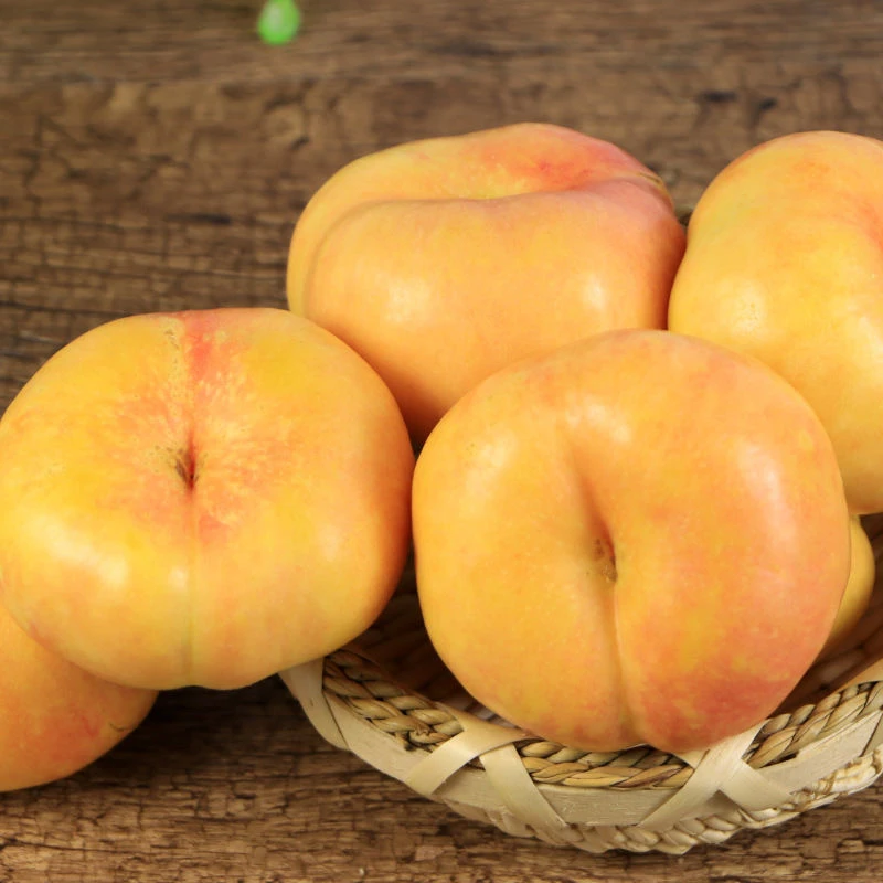 山东蒙阴沂蒙山黄金油蟠桃 硬吃脆甜可口 软吃香甜多汁