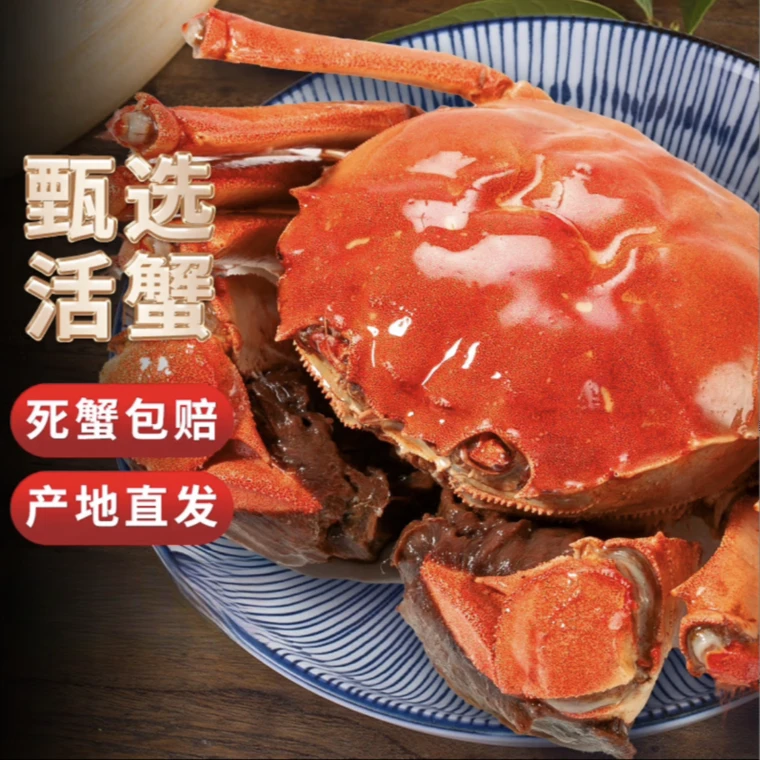 【江苏活蟹】现货大螃蟹2.1-1.8两母蟹6只+2.8-3.1两公蟹2只