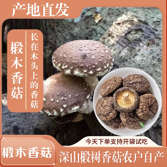 和美江边深山椴树小香菇农户自产批发食用菌菇肉厚剪脚野生干货