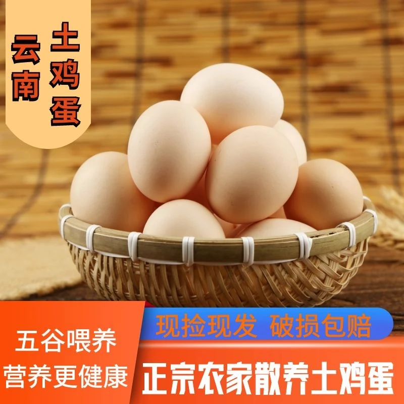 (现捡现发)鲜鸡蛋云南高原散养土鸡蛋本地农家新鲜土鸡蛋宝宝健康