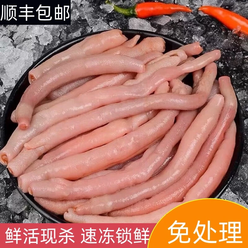 新鲜速冻海肠冷冻食品海捕鱼肠海肠皮葱油捞饭海鲜冻货批发团购