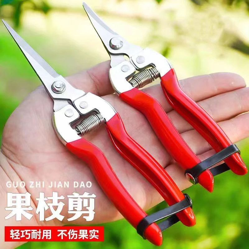 剪果树修花树枝专用剪子园林摘果剪刀采摘葡萄剪果家用锋利小号剪