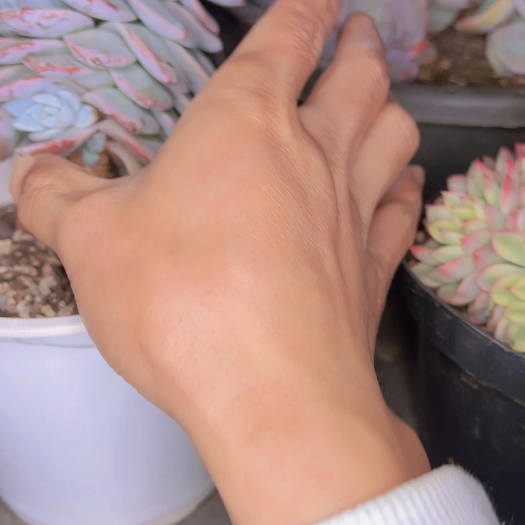 【闪购商品】滴**?18-10