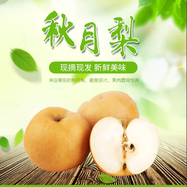 山东秋月梨新鲜水果皮薄多汁带箱5斤