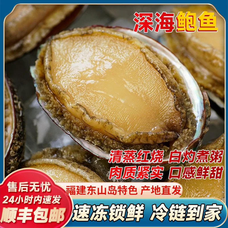 【顺丰发货】 深海鲍鱼 多规格  福建东山岛直发 个大肉厚 急冻锁鲜