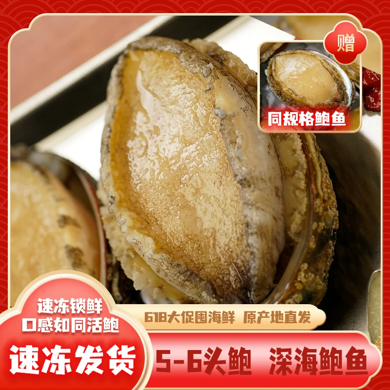 【特大规格 】5-6头鲍长度7.5-8cm 东山岛深海鲍鱼大个肉厚急冻锁鲜