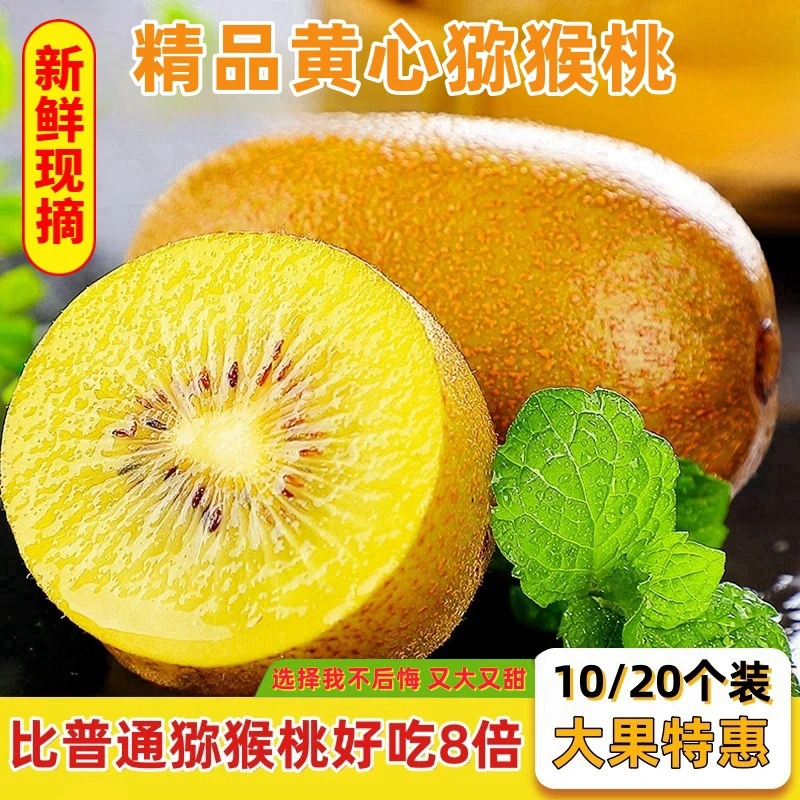 【大果特惠】精品黄心猕猴桃大果10/20个装新鲜超甜奇异果现摘水果