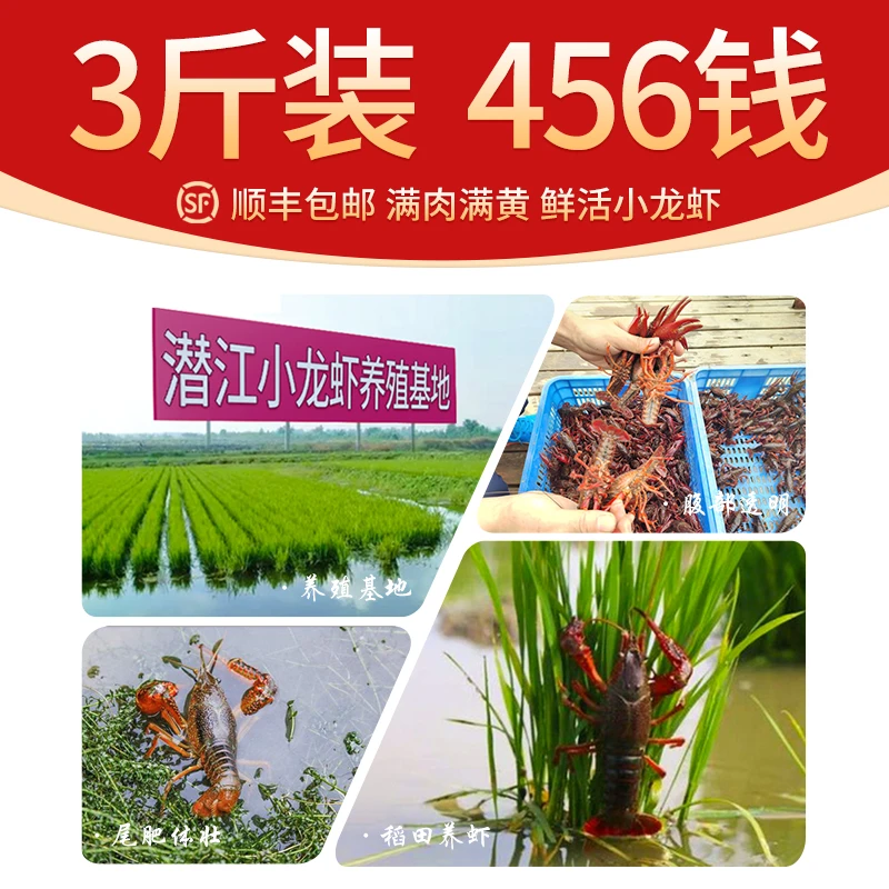 倍鲜岛湖北潜江小龙虾456钱3斤鲜活小龙虾红虾顺丰包邮