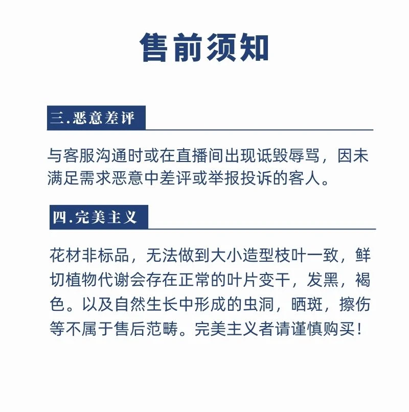 【七礼夫人】白冰花束  南非原装进口  小众稀有花材 可做干花