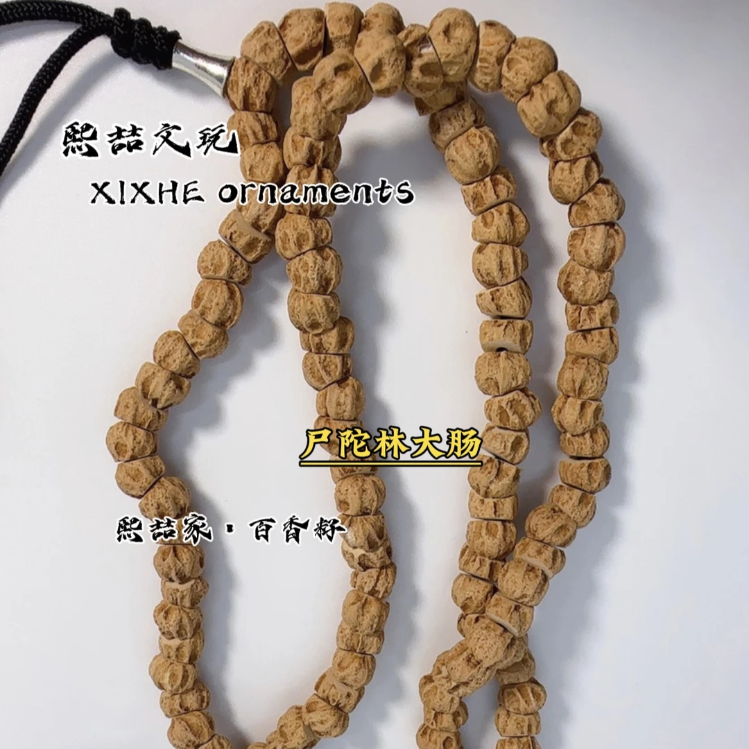 XIZHE出品｜百香籽系列-尸陀林大肠