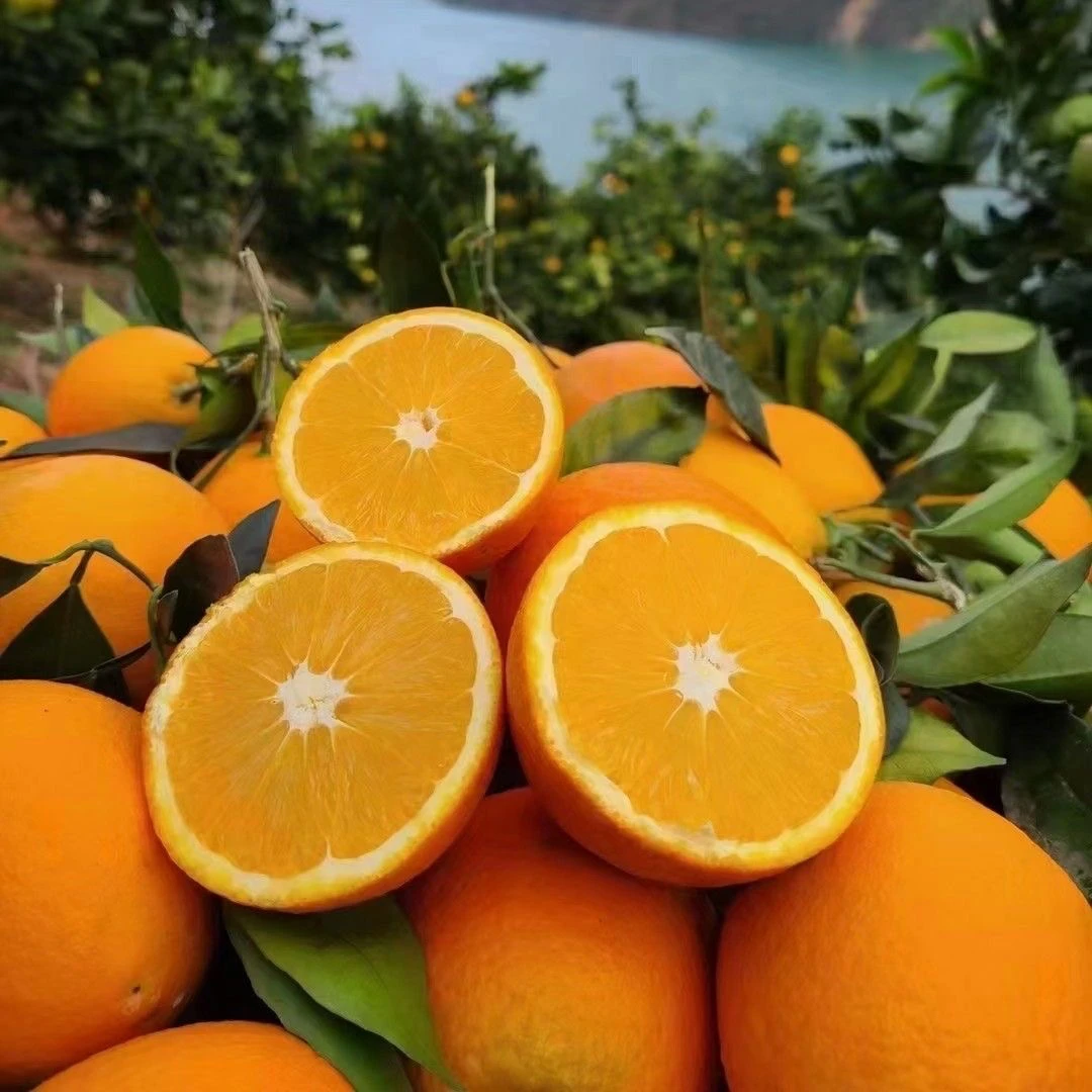 三峡柑橘甜蜜纽荷尔精选酸甜脐橙鲜甜多汁带箱10斤70-80果径