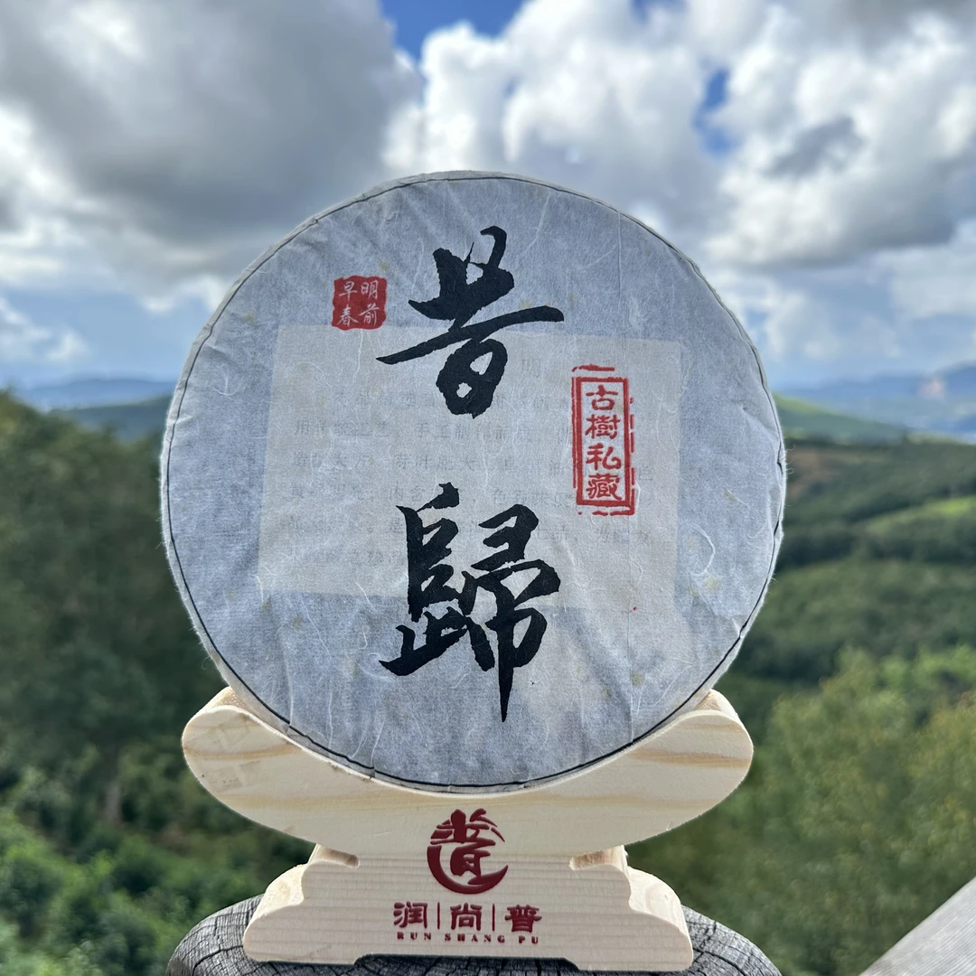 昔归古树茶357克饼