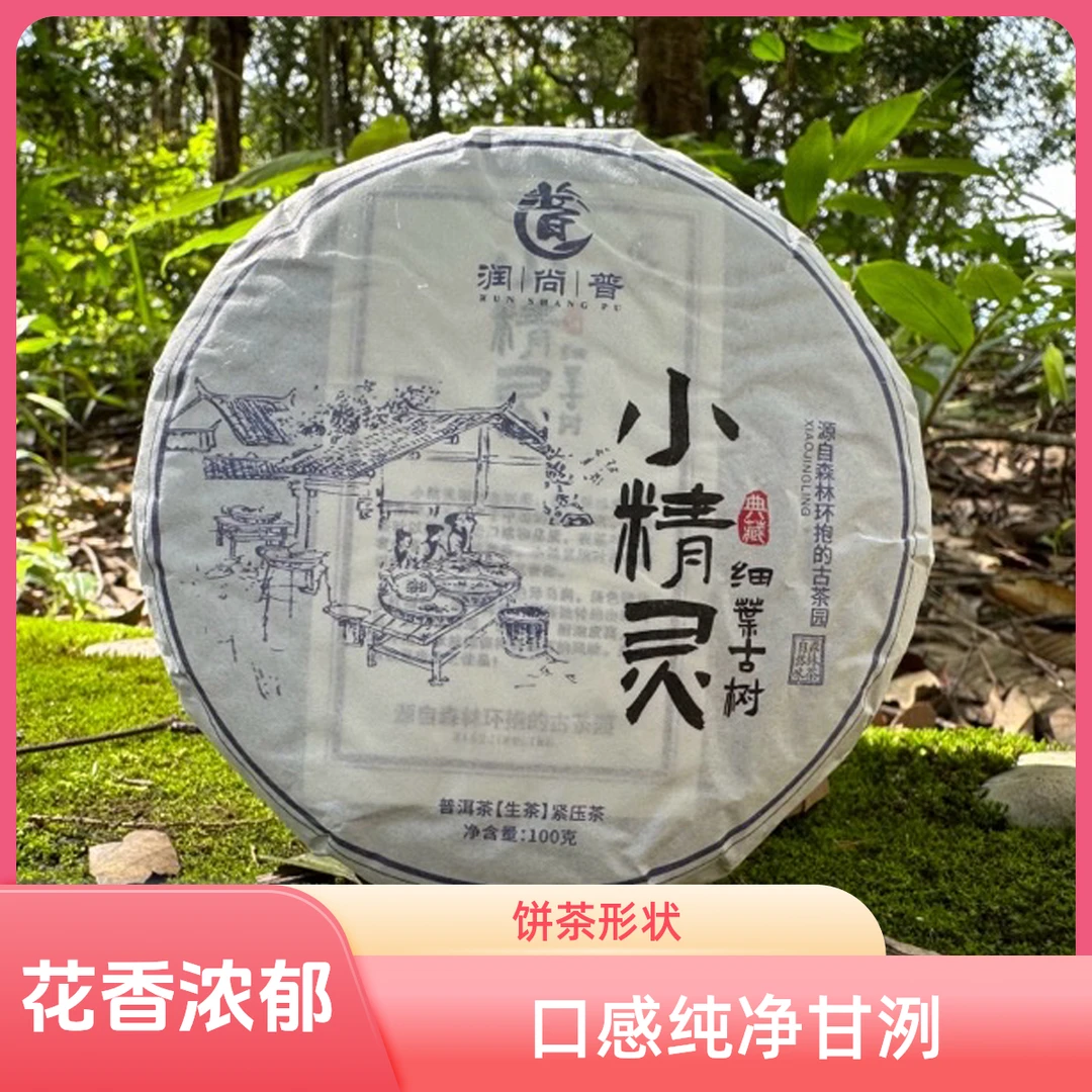 润尚普猫耳朵细叶古树茶·稀有树种独特·佳品超值普洱茶甜润标杆